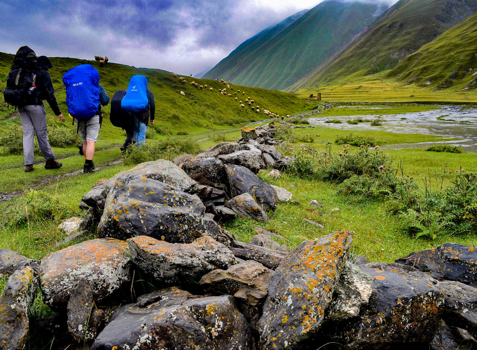 Drei Pfadfinder*innen wandern mit Rucksäcken durch ein grünes Bergtal